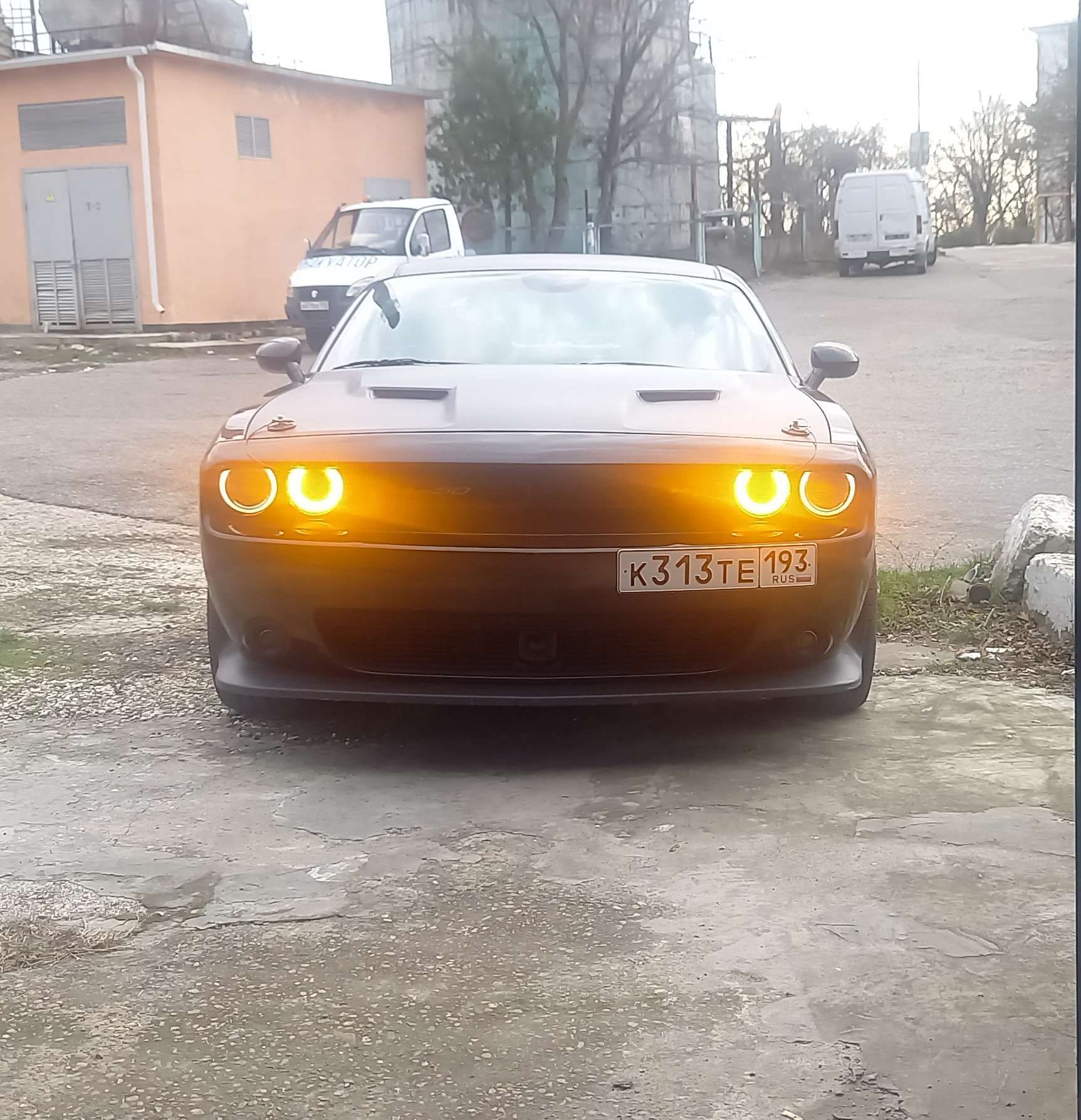 Necart-5.jpg